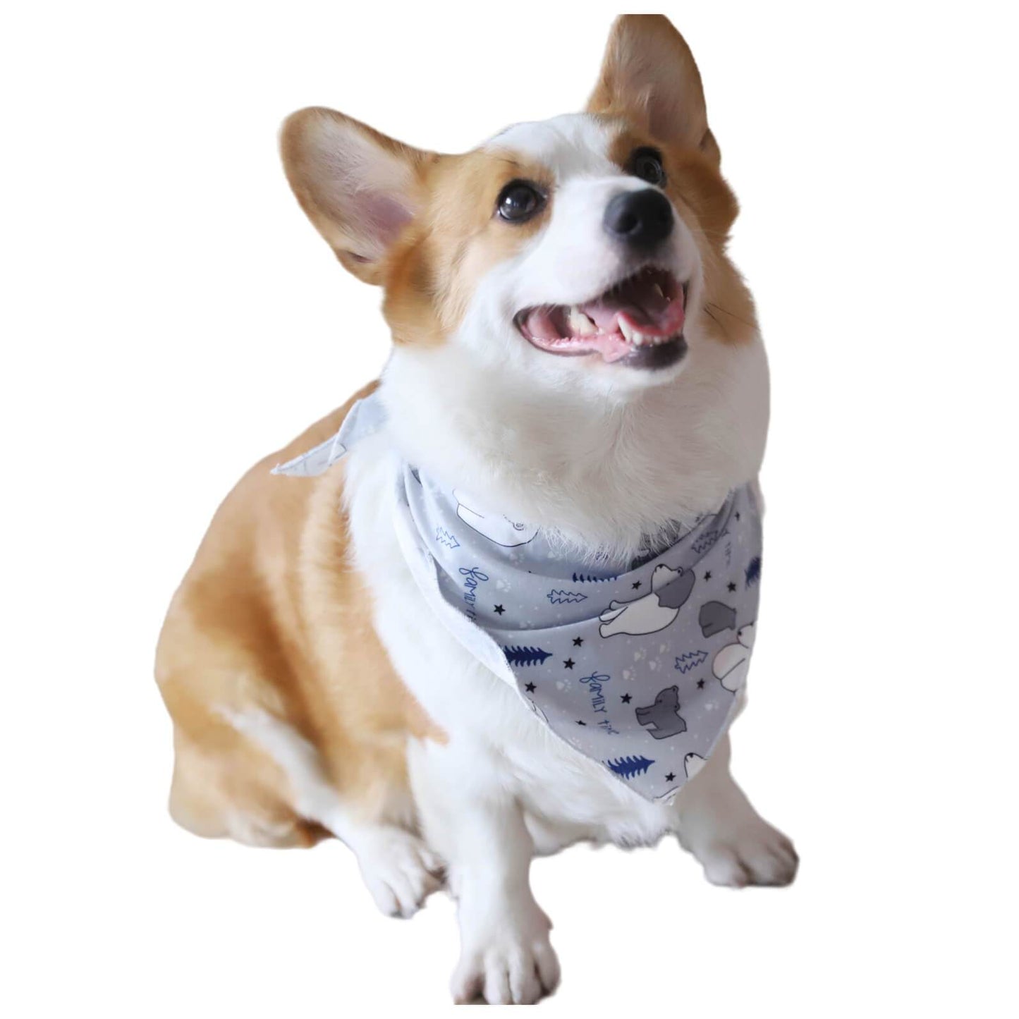 Christmas Family Time Polar Bears Trees Stars Pet Outfits Dog Clothes and Triangle Scarf In Sky Blue