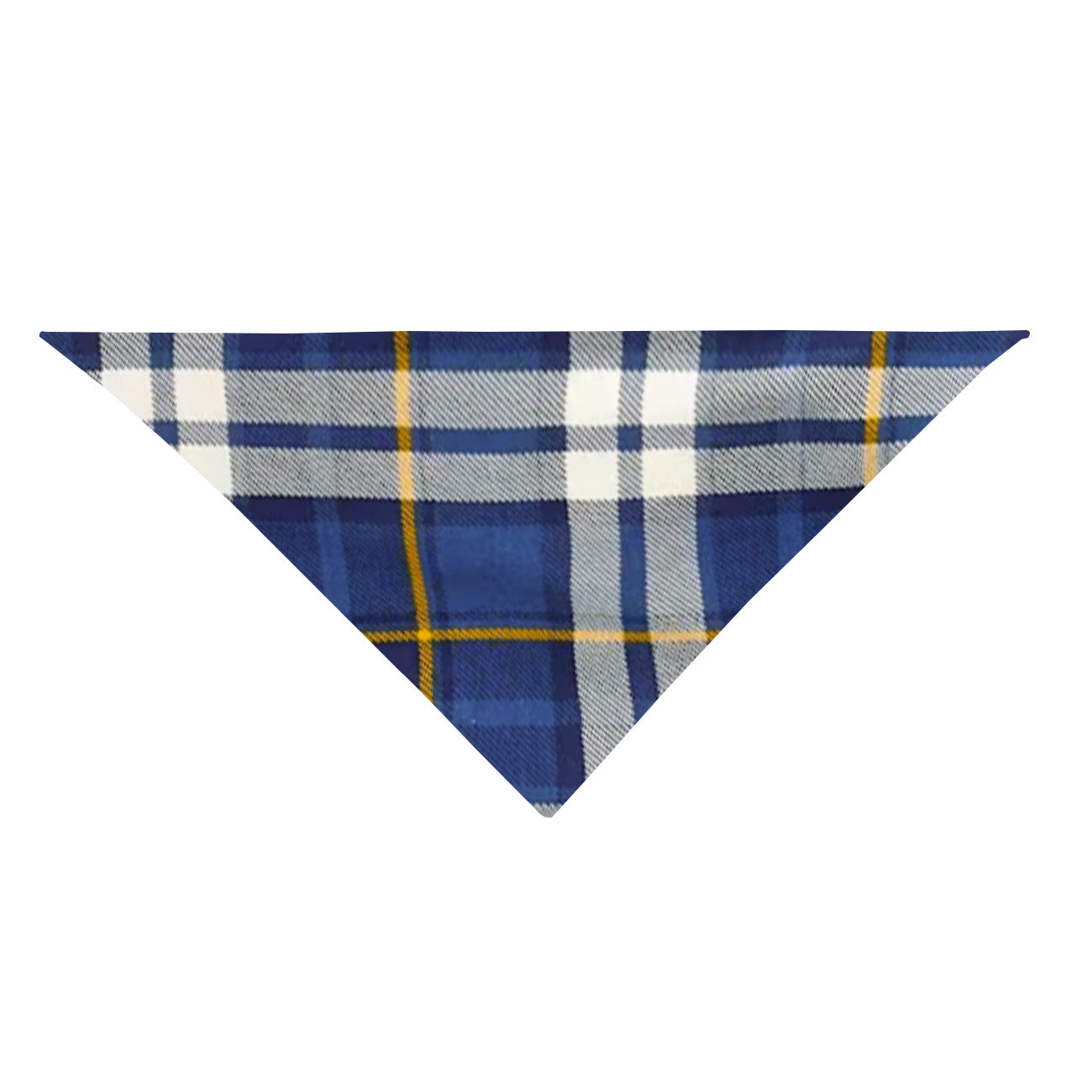 2025 Our Family Christmas Matching Pajamas -Blue Plaid
