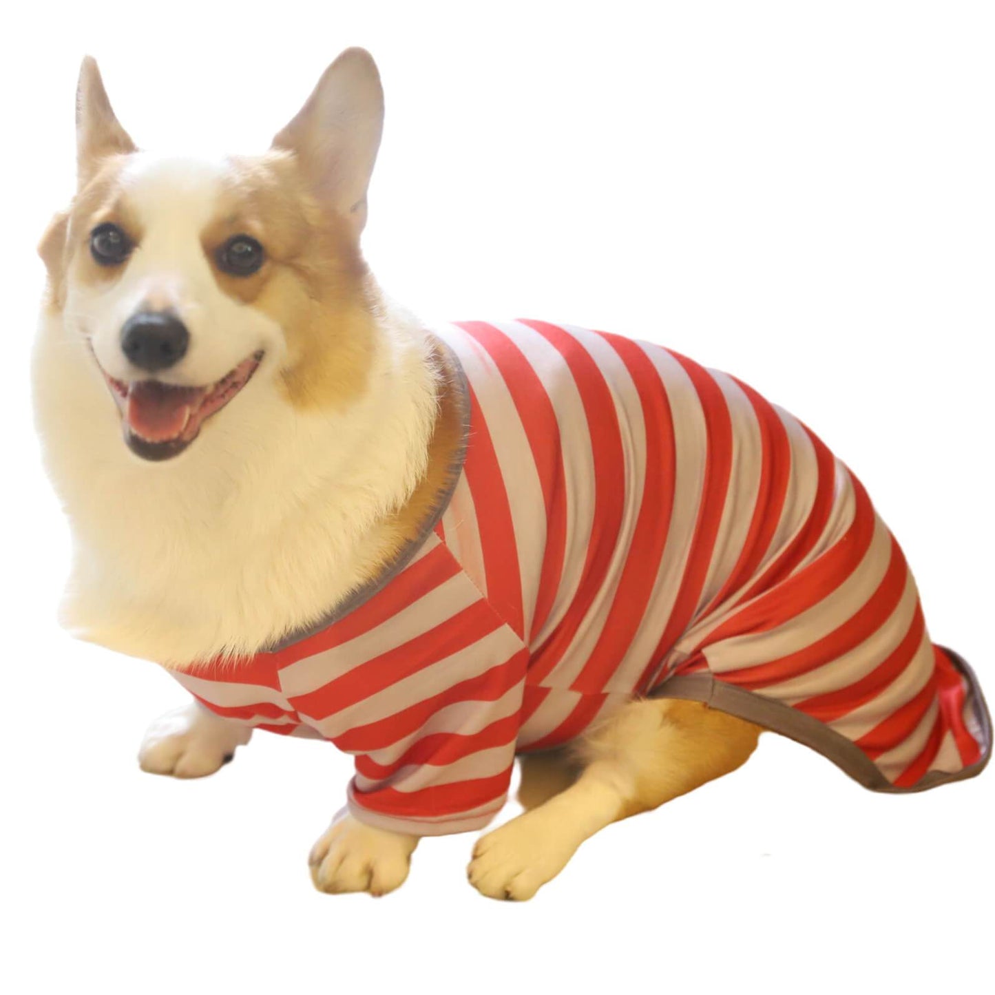 Christmas Red and White Striped Dog Pet Clothes Matching Outfits