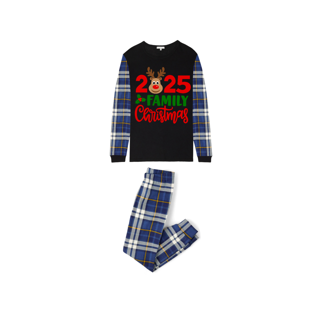 2025 Reindeer Family Christmas - Blue Plaid Edition