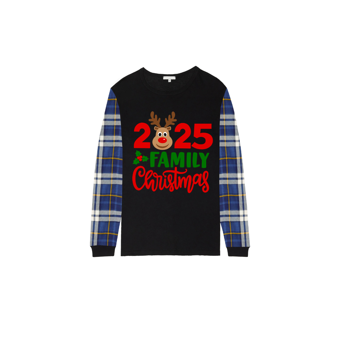 2025 Reindeer Family Christmas - Blue Plaid Edition