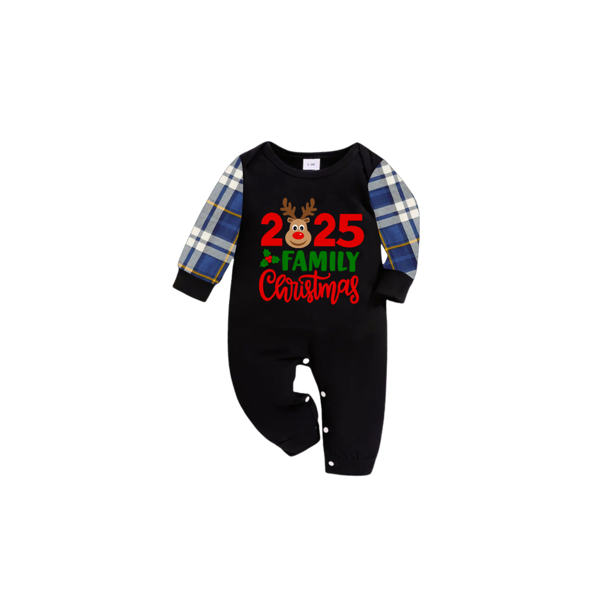 2025 Reindeer Family Christmas - Blue Plaid Edition