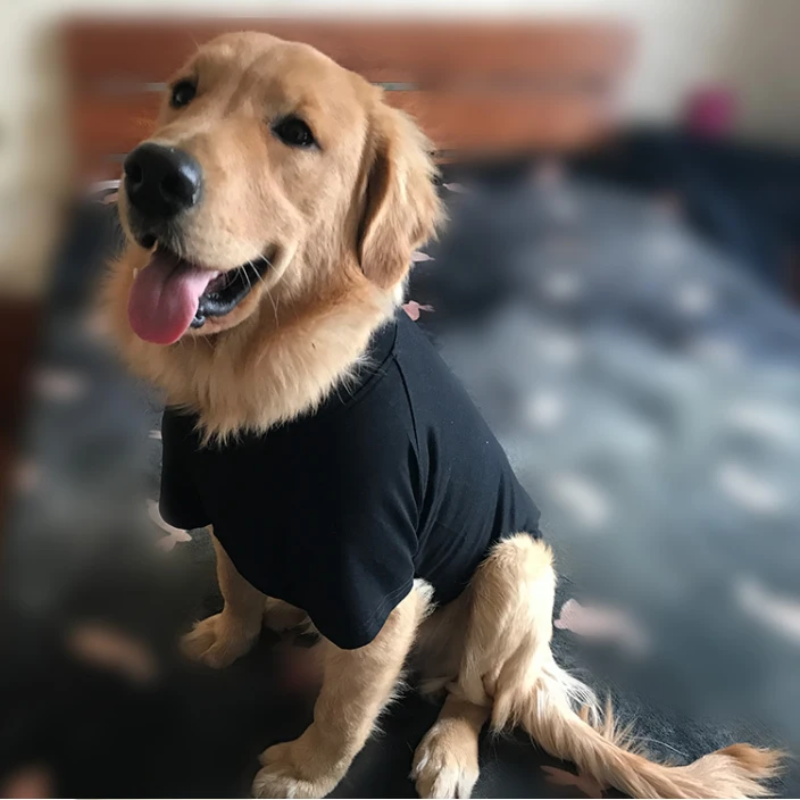 Christmas Pet Dog Cat Scarf+Top Suit
