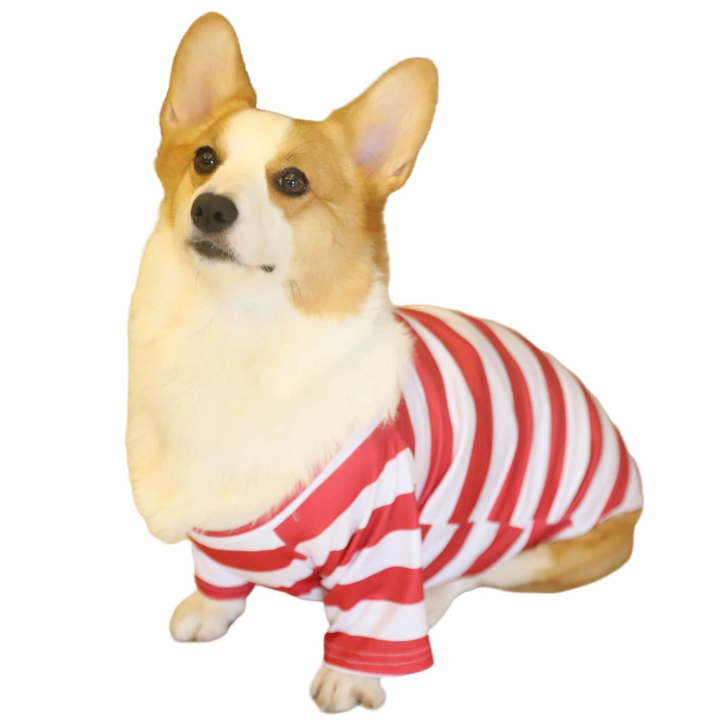 Merry Christmas Red&White Striped Pet Clothes Pet Christmas Outfits