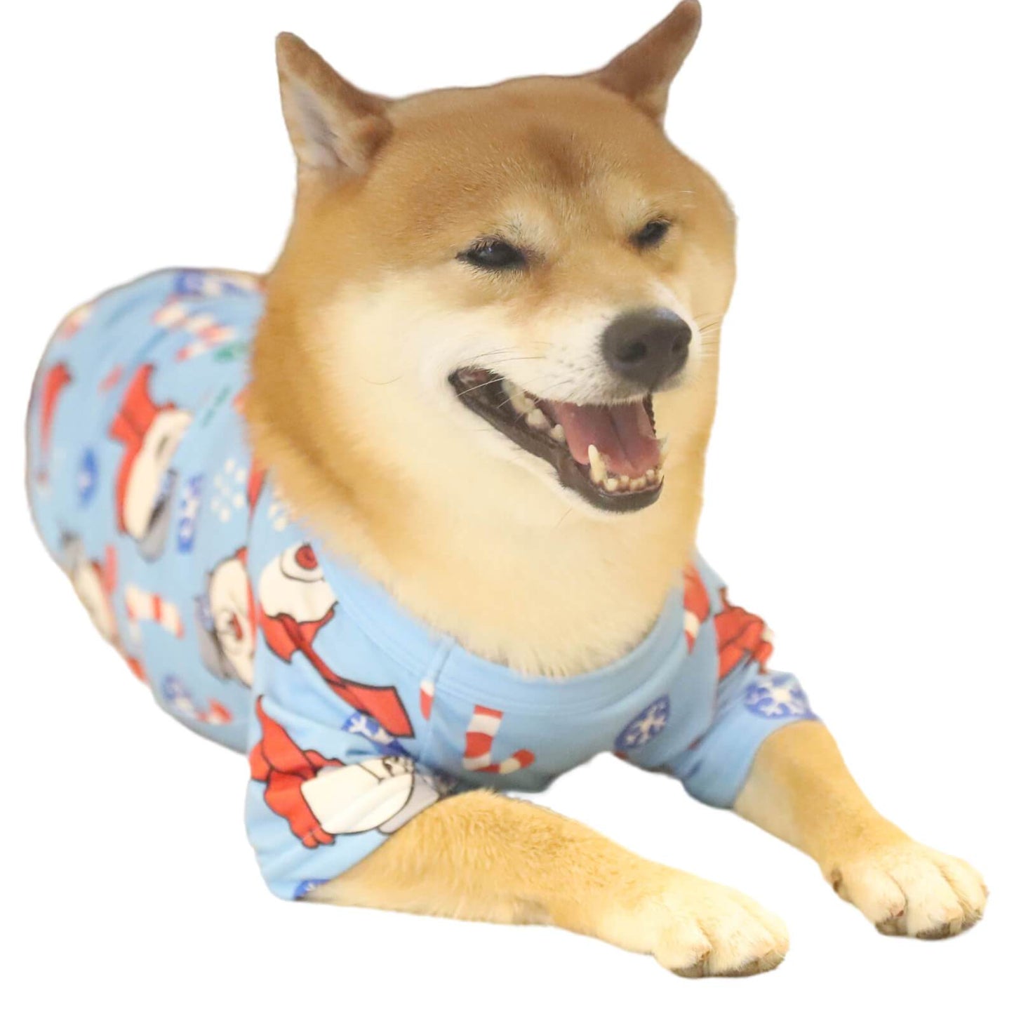 Christmas Snowman Snow and Candy Bar Print Pet Winter Outfits Dog Clothes