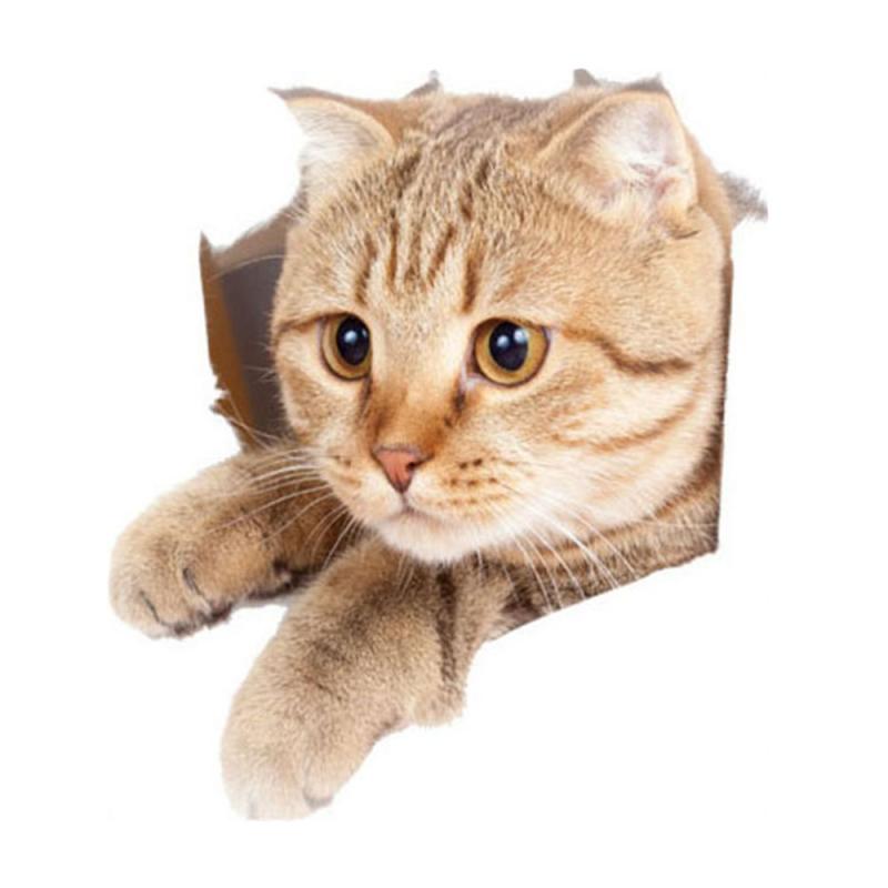 Cat Vivid 3D Smashed Switch Wall Sticker Bathroom Toilet Kicthen Decorative
