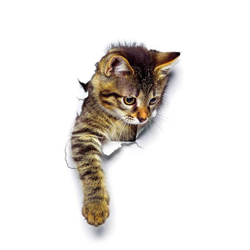 Cat Vivid 3D Smashed Switch Wall Sticker Bathroom Toilet Kicthen Decorative