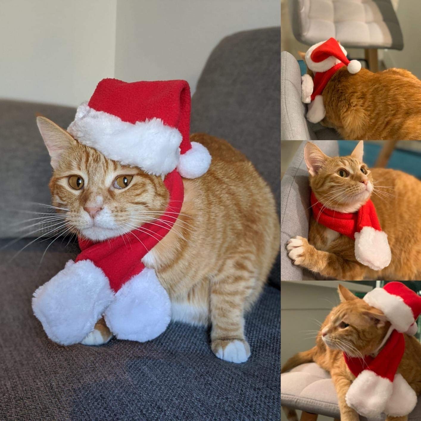 Pet Santa Hat with Scarf