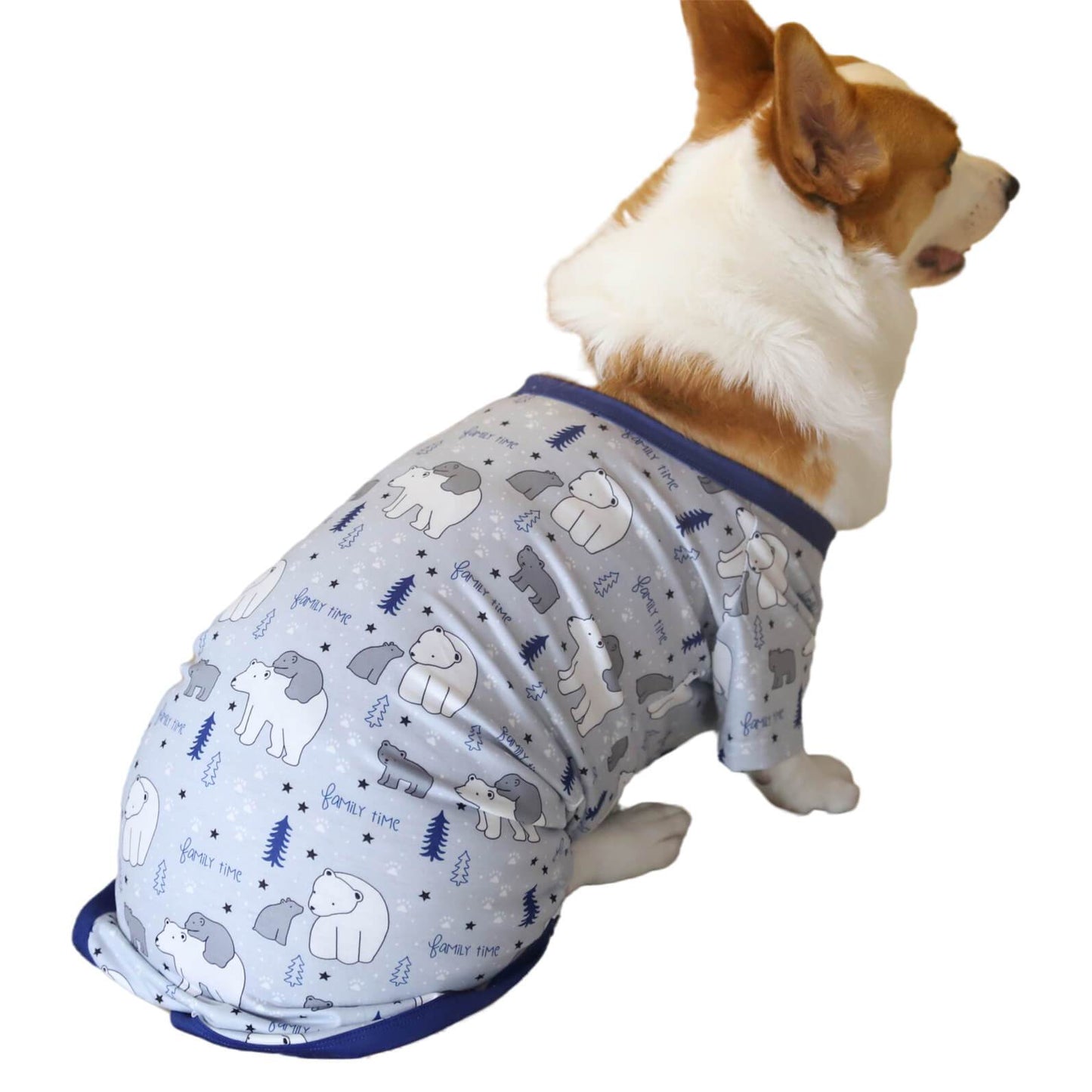 Christmas Family Time Polar Bears Trees Stars Pet Outfits Dog Clothes and Triangle Scarf In Sky Blue
