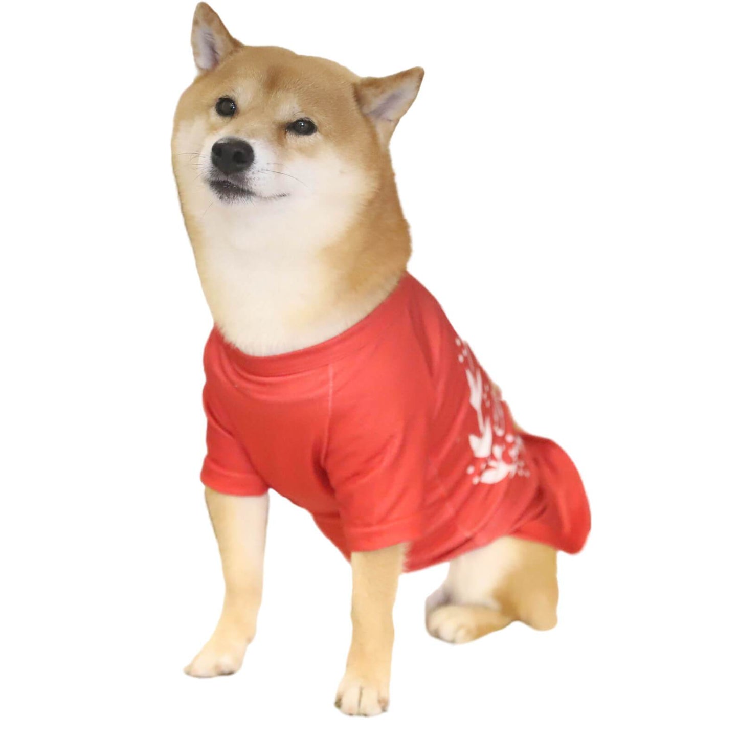 Merry Christmas Letter Print and Wreath Red Pet Clothes Dog Outfits