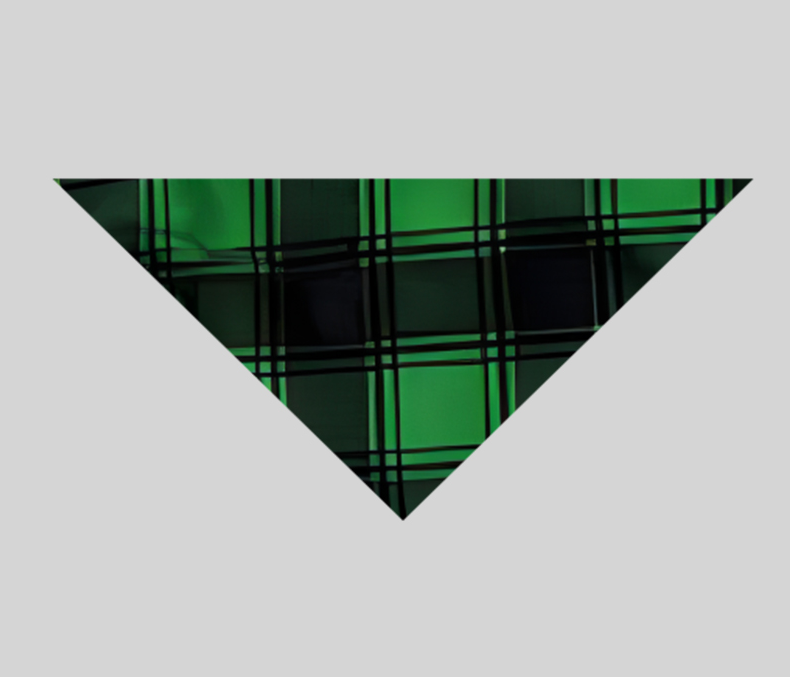 Christmas �� Family Christmas 2024�� Letter Print Patterned Casual Long Sleeve Sweatshirts Green Contrast Tops and Black and Green Plaid Pants Family Matching Raglan Long-sleeve Pajamas Sets With Dog Bandana