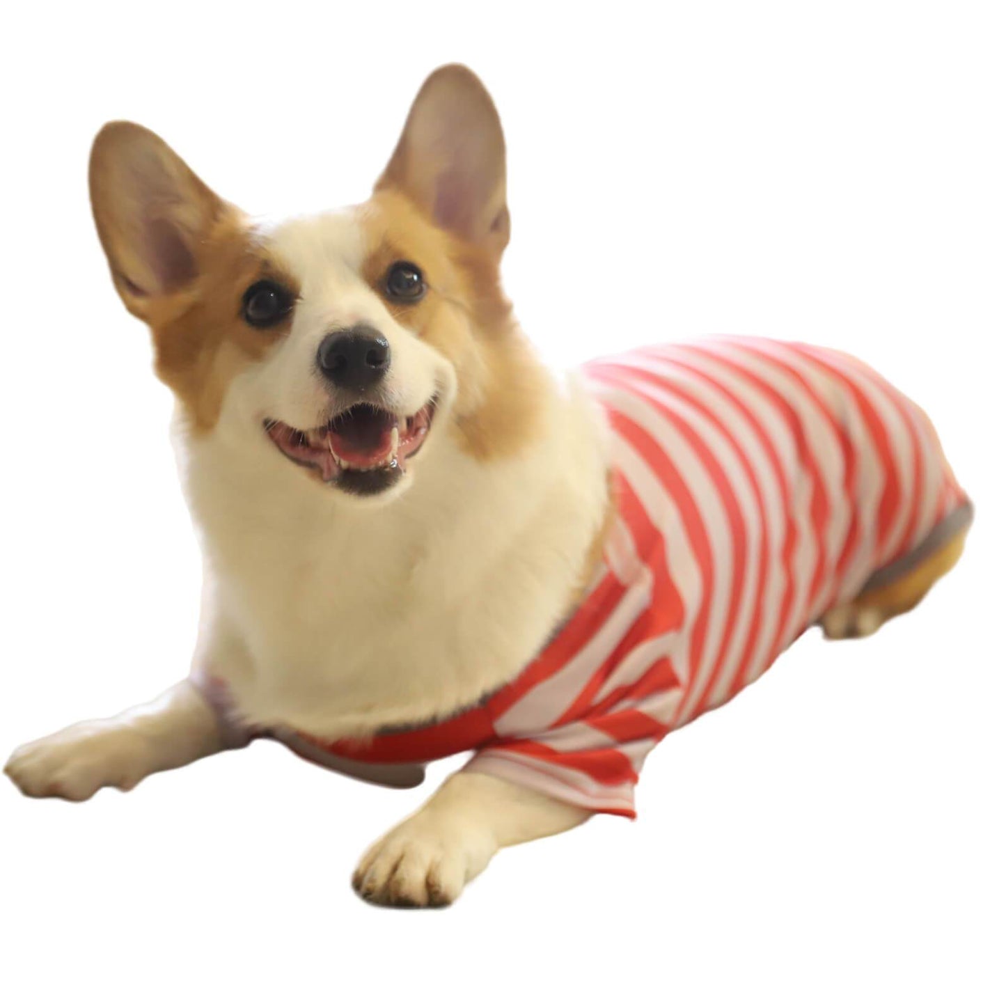Christmas Red and White Striped Dog Pet Clothes Matching Outfits