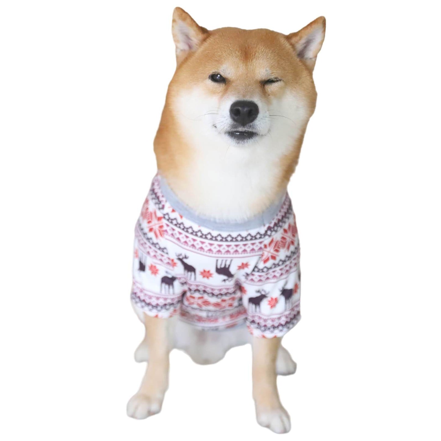 Merry Christmas Elk and Snowflake Print Pet Dog Clothes Pet Outfits