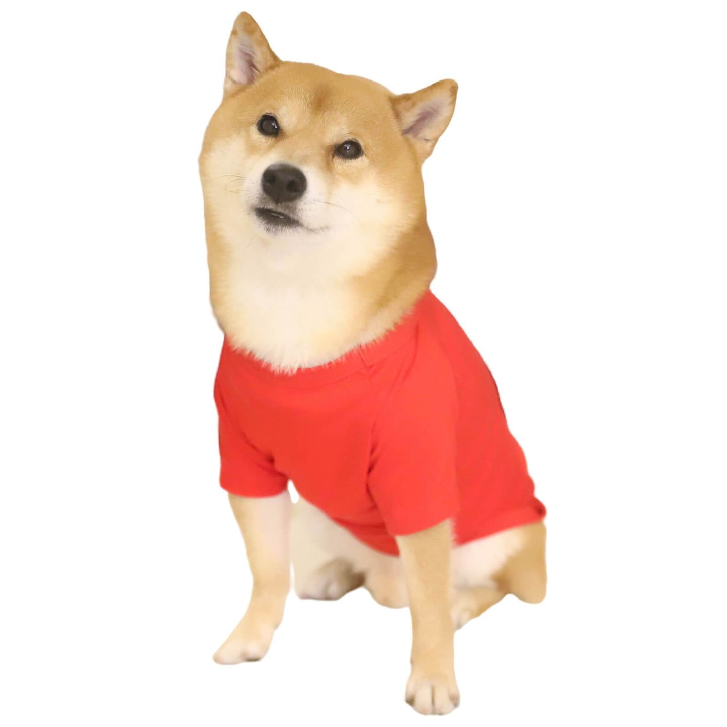 Happy Christmas Red Solid Color Dog Clothes Pet All-match Christmas Outfits