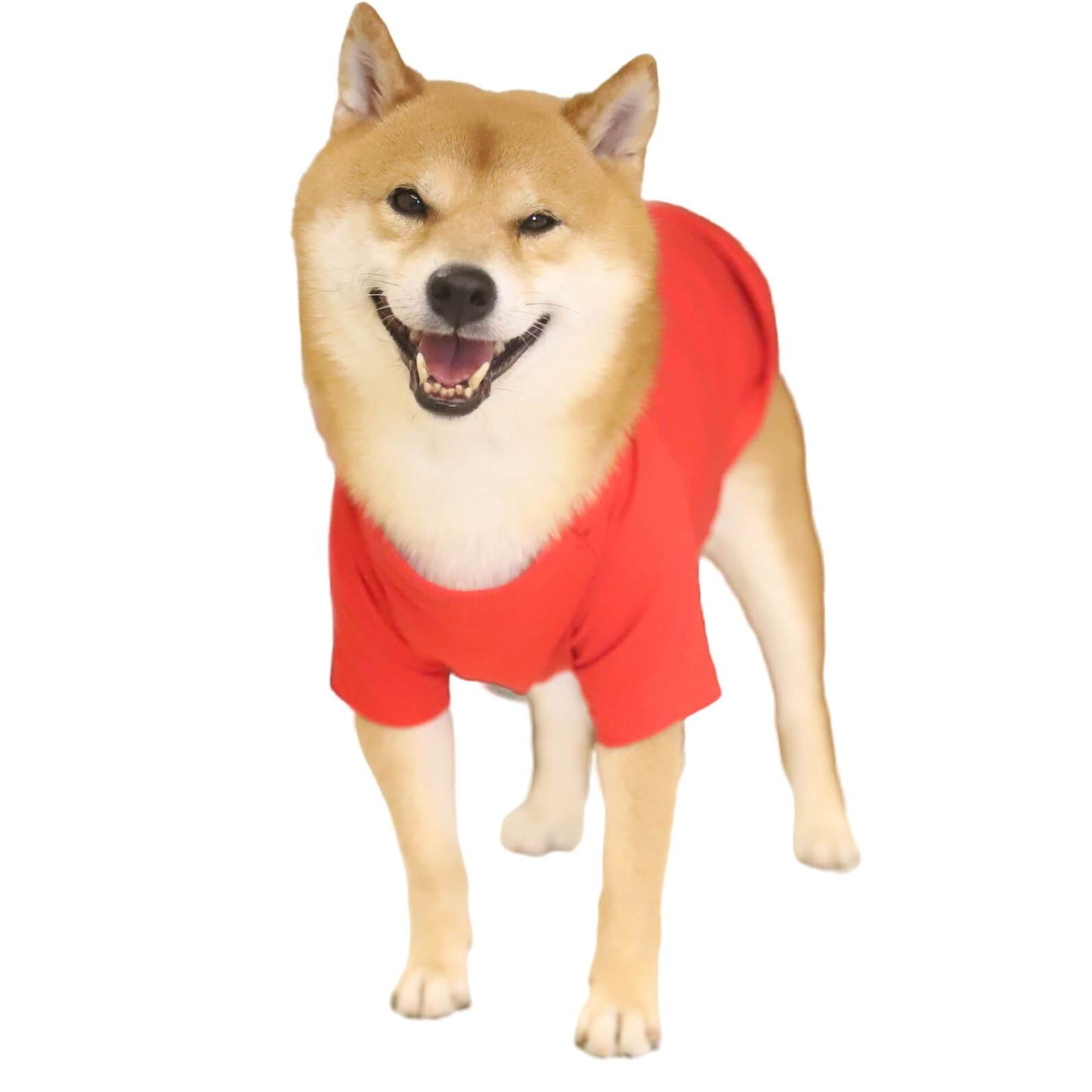 Happy Christmas Red Solid Color Dog Clothes Pet All-match Christmas Outfits