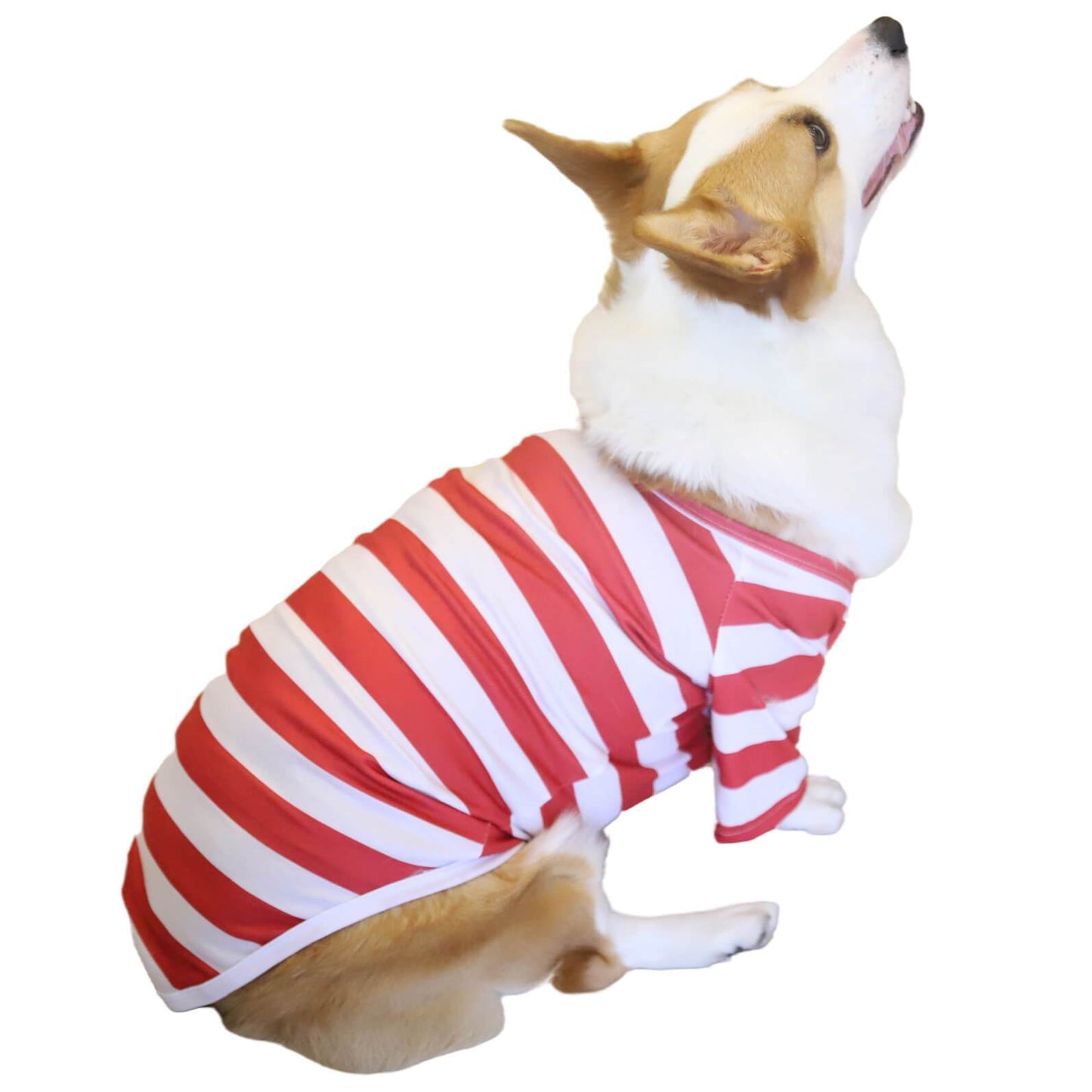 Merry Christmas Red&White Striped Pet Clothes Pet Christmas Outfits