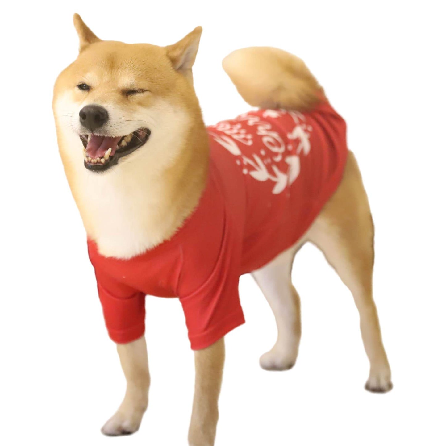 Merry Christmas Letter Print and Wreath Red Pet Clothes Dog Outfits