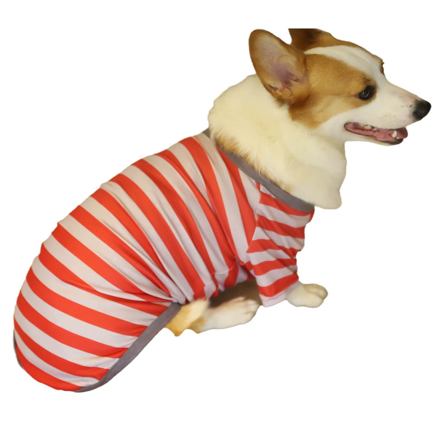 Christmas Red and White Striped Dog Pet Clothes Matching Outfits