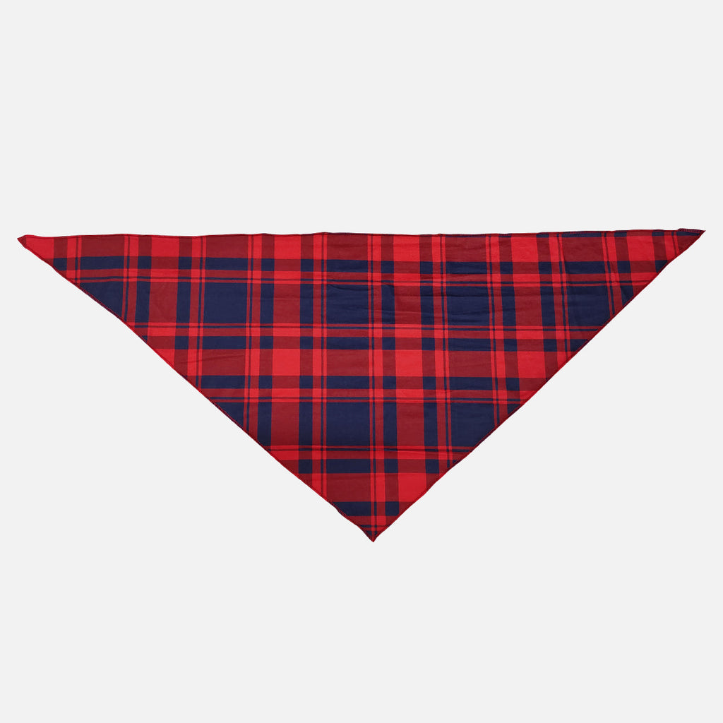 "2026 Christmas Crew" Text and Santa Hat Prints Blue Long Sleeves Top with Red and Blue Plaid Pants Christmas Matching Pajamas