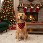 Christmas Tree & "2026 Making Memories Together" Patterned Contrast top and Black & Red Plaid Pants Couple Matching Pajamas Set