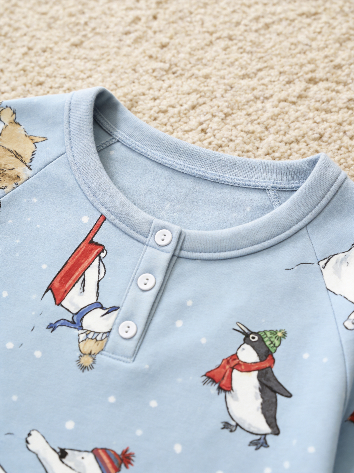 Whimsical Winter Animals & Sled Two-Piece Henley Neck Holiday Couple Pajamas