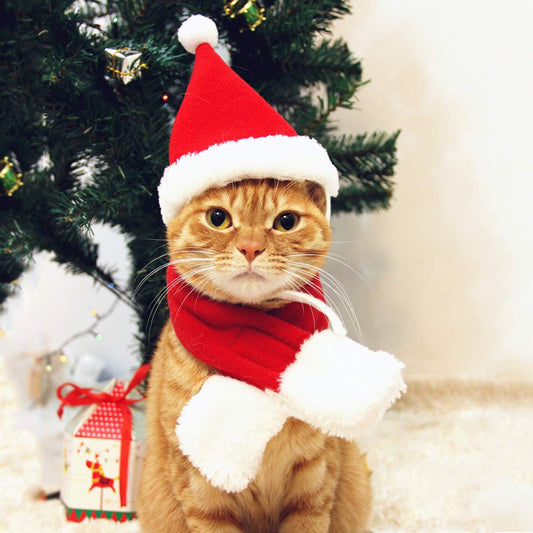 Pet Santa Hat with Scarf