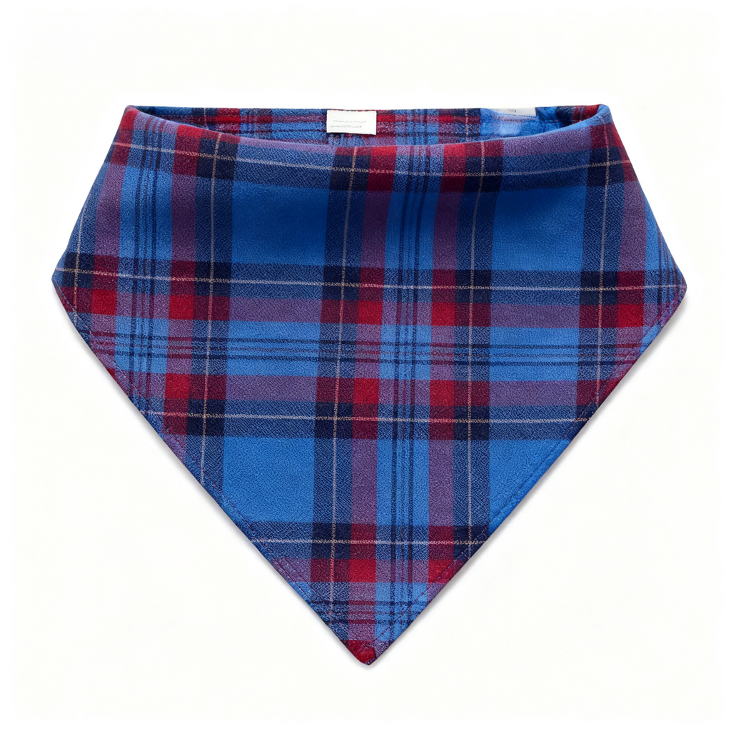 Holiday Couple Blue Plaid Christmas Pajamas Set
