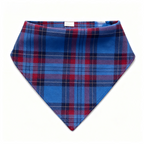 Holiday Family Blue Plaid Christmas Pajamas Set