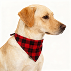 Red and Green Plaid Couple Button Up Long-sleeve Pajamas Sets