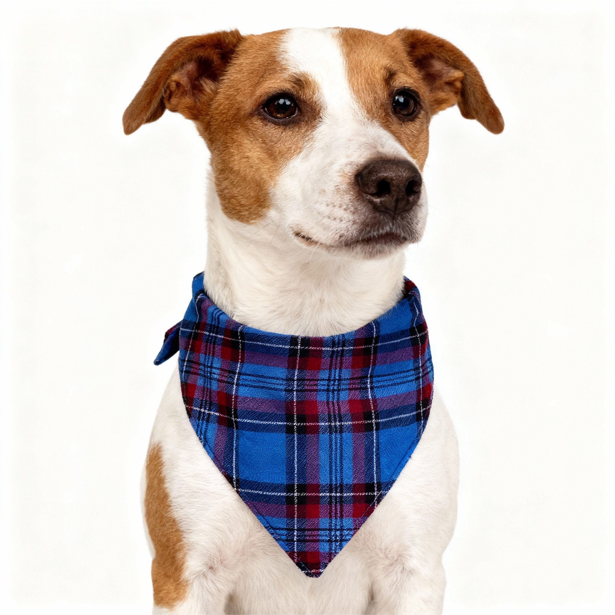 Holiday Family Blue Plaid Christmas Pajamas Set