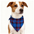 Holiday Couple Blue Plaid Christmas Pajamas Set