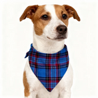 Family Christmas PJ Set – Classic Button Shirt & Tartan Sleep Pants