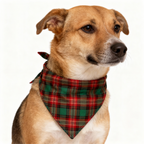 Holiday Family Green Plaid Christmas Pajamas Set