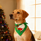 Gradient Color Button-Up Family Christmas Pajamas Set