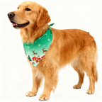 Holiday Family Button-Up Christmas Pattern Printed Green Satin Christmas Pajamas Set