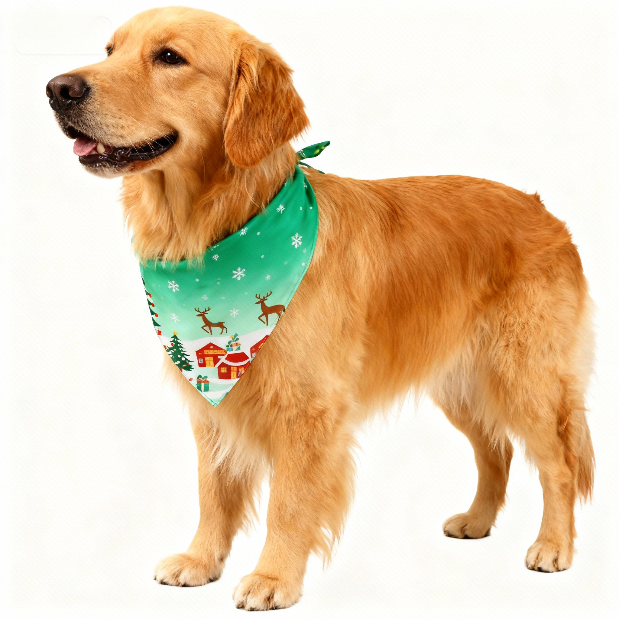 Holiday Family Button-Up Christmas Pattern Printed Green Satin Christmas Pajamas Set