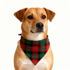 Family Green Red Plaid Matching Pajamas Set